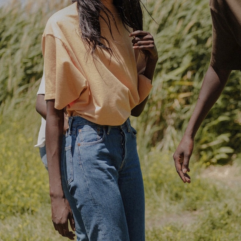 James Street Co. short sleeve backwards tee in apricot, size Large.